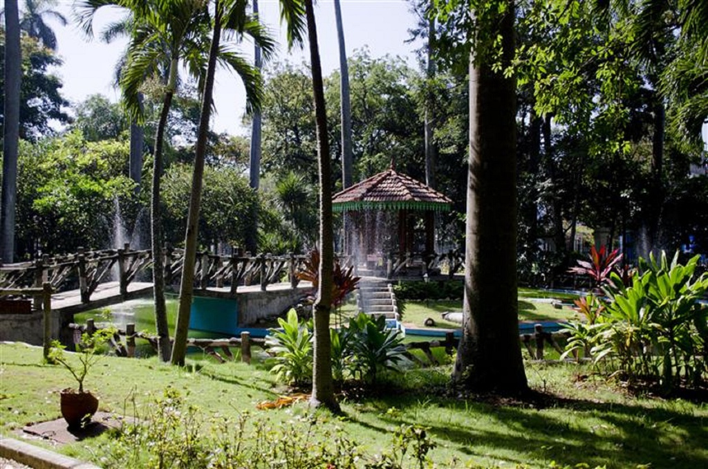 LA HABANA TAMBIÉN VERDE